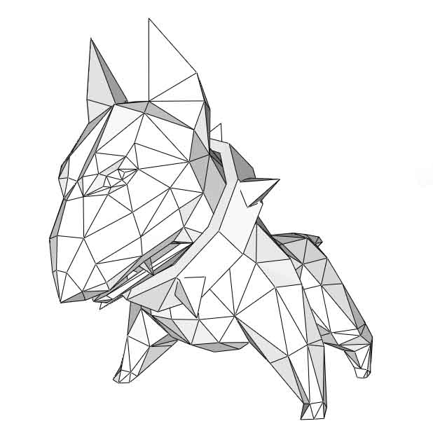 Bull Terrier