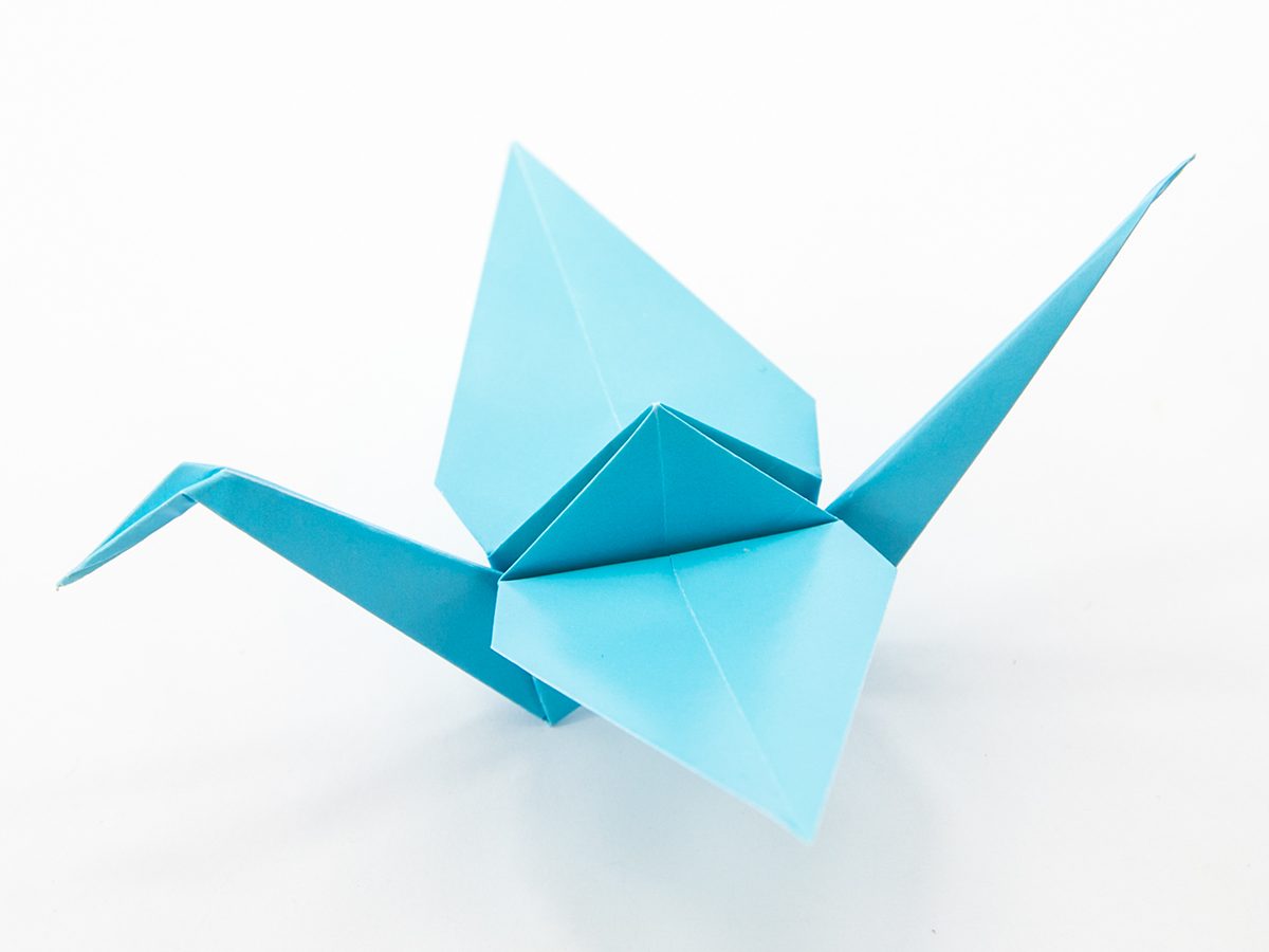 Crane bird